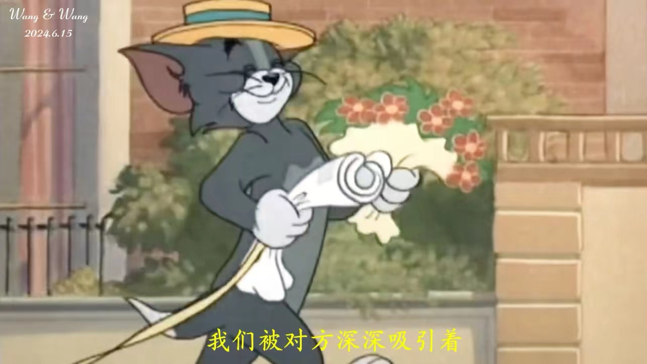 猫和老鼠A1（31张）婚礼相册视频