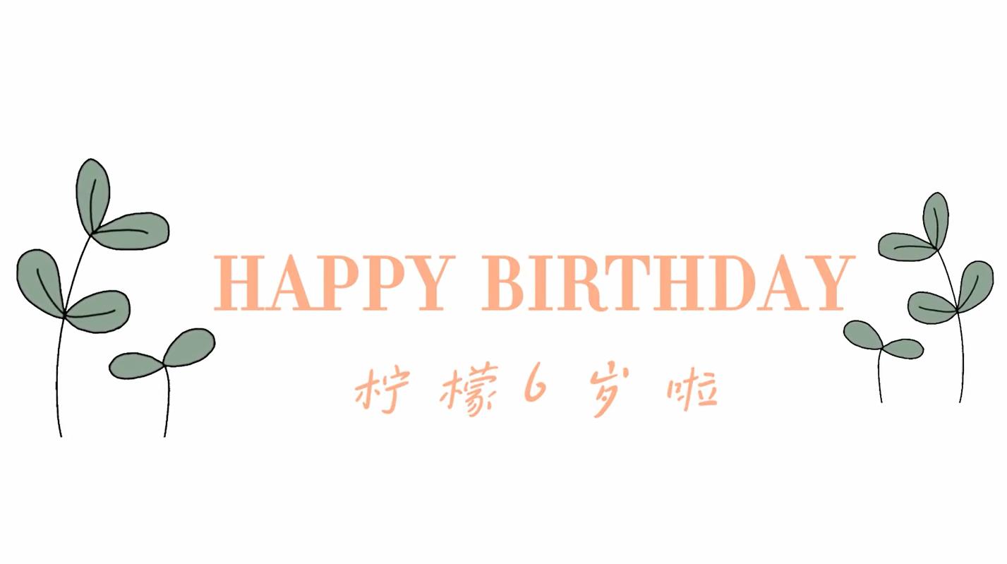 b23儿童生日相册